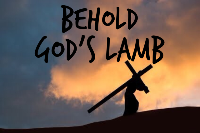 Image result for the sacrifice of the lamb