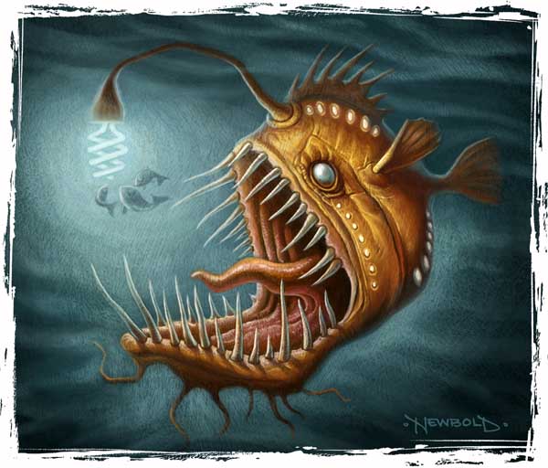 Drawing Of Anglerfish