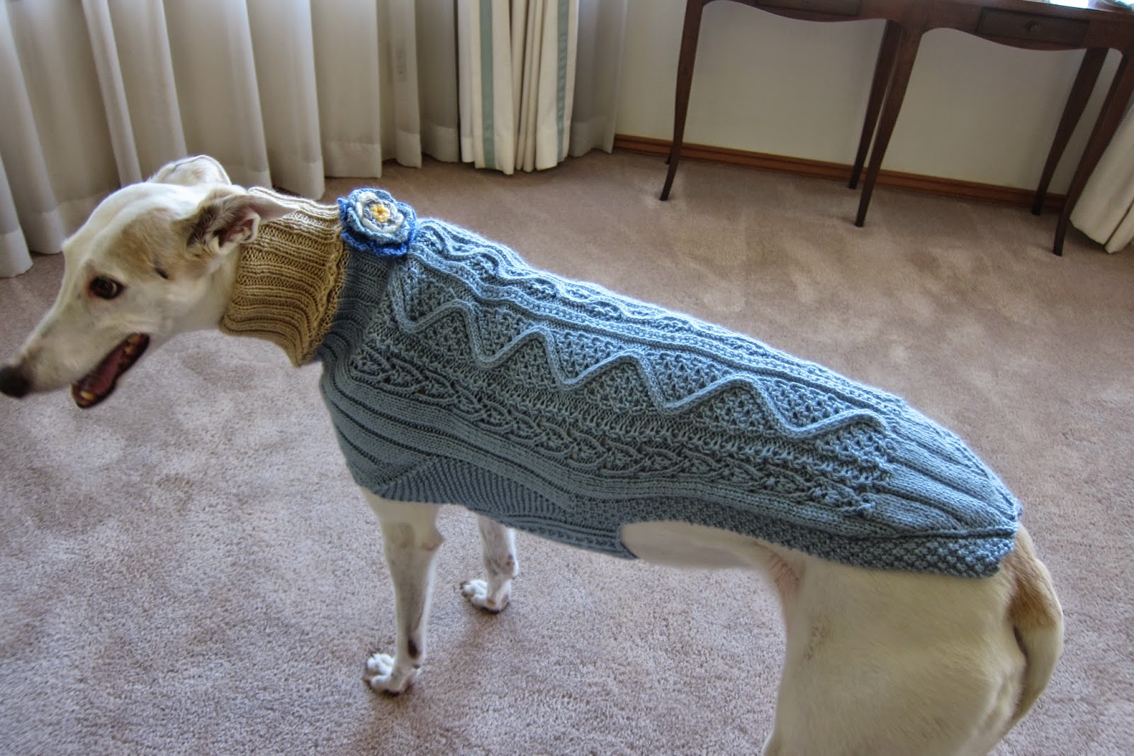 Greyhound Knit Sweaters Blue sweater for a girl dog