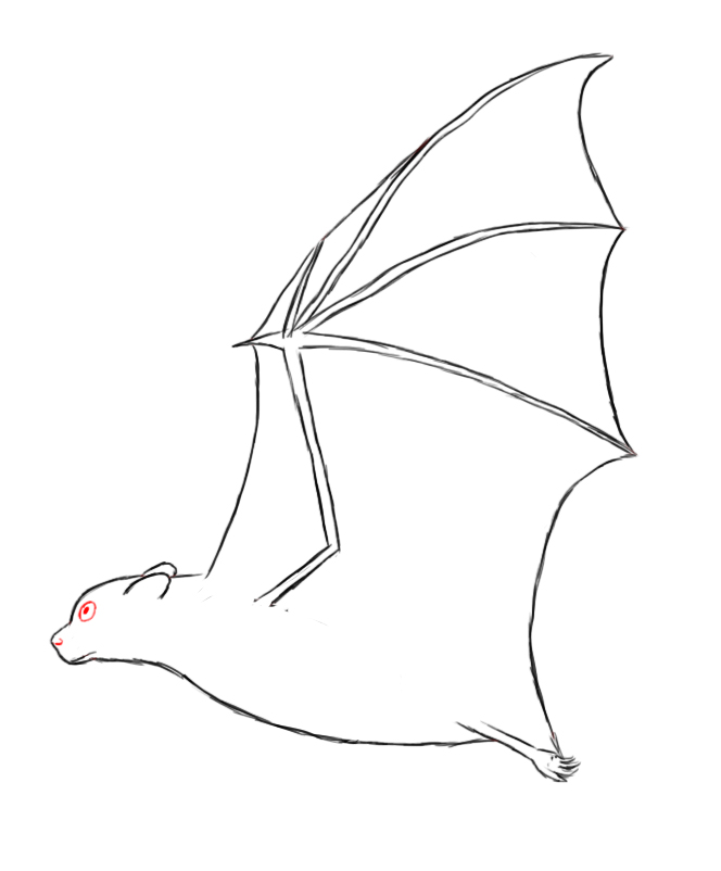 Bat Draw