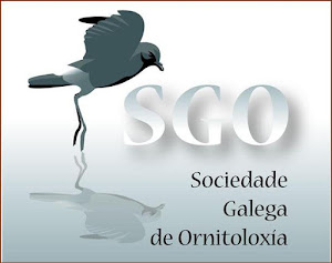 Sociedade Galega de Ornitoloxía