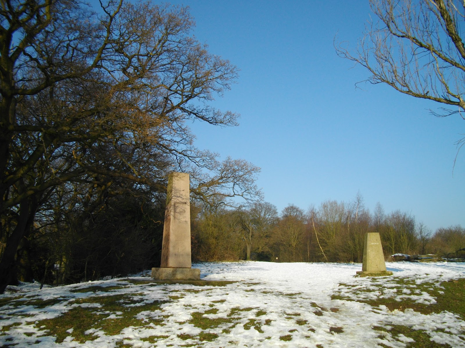 Westminster Walking A Forest Stroll