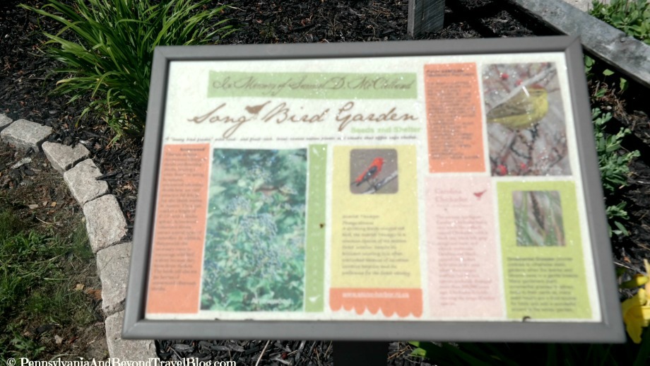 Pennsylvania & Beyond Travel Blog Visiting the Stone Harbor Bird Sanctuary