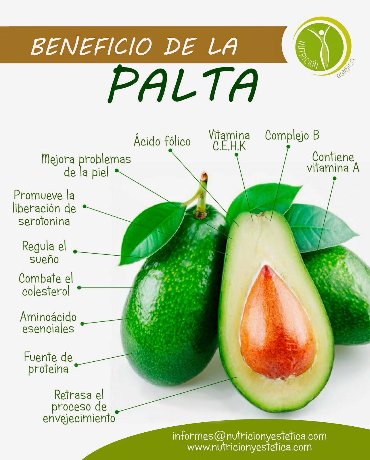 Nutricion Estetica BENEFICIOS DE LA PALTA. NUTRICIONISTA LIMA