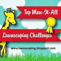LAWNSCAPING CHALLENGE