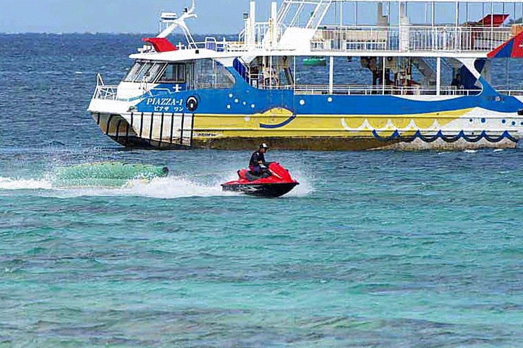 Ryukyu Life Sesoko Beach Images Taken at 420mm Animated GIFs