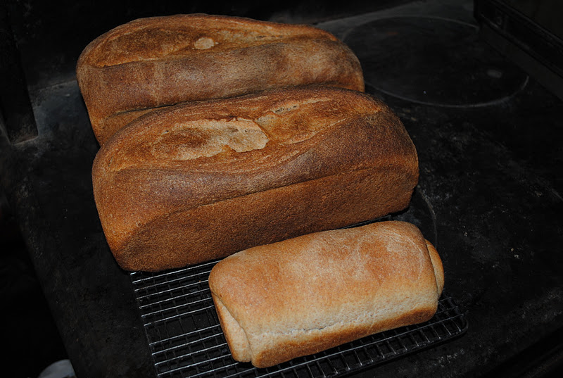 Paratus Familia Blog Baking Bread in a Wood Cookstove