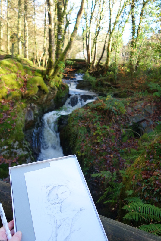 Drawn Nature