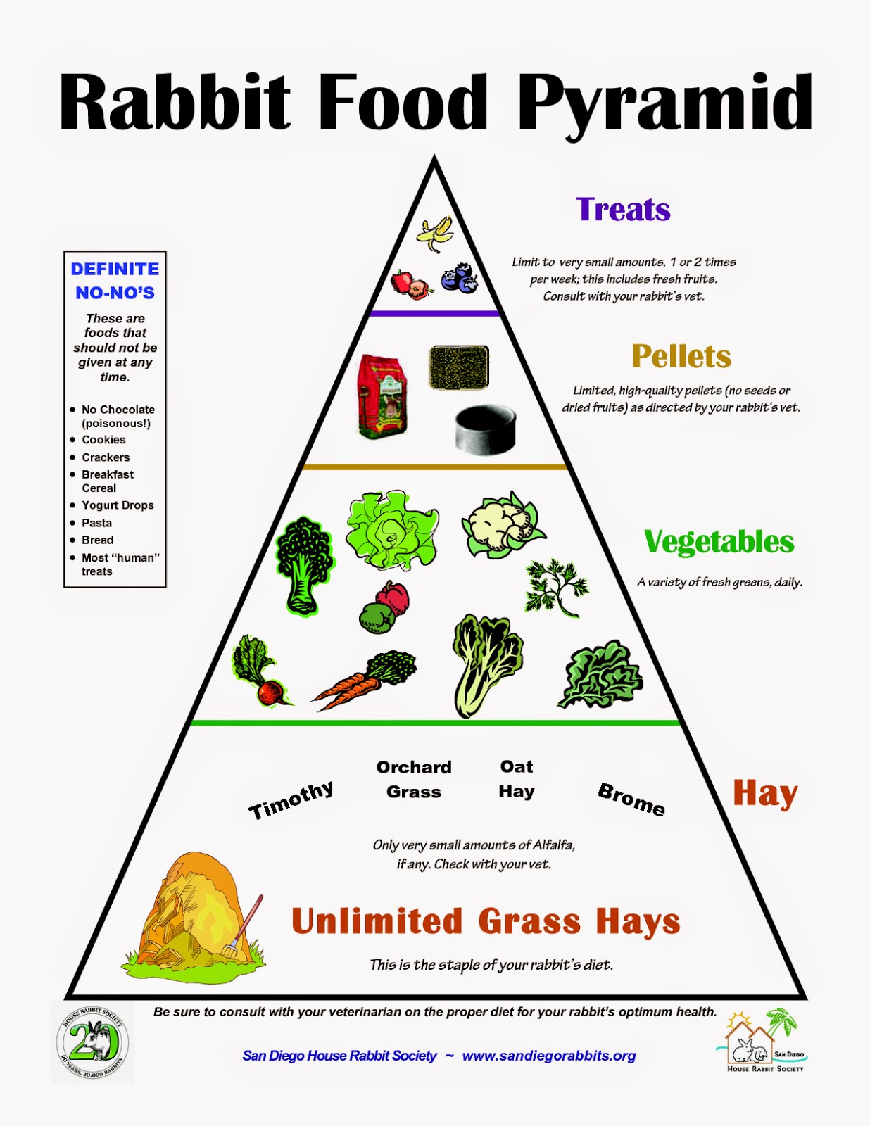 the bunny hut why rabbits and guinea pigs should not be companions guinea pigs diet chart