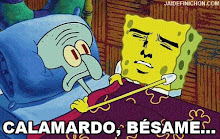 Sexy y sensual bob