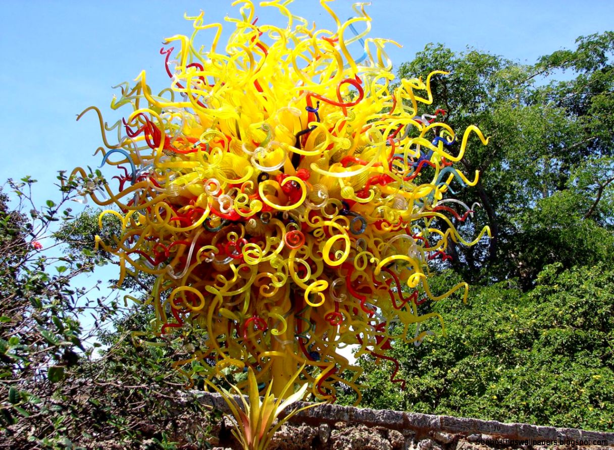 Tropical Trees and Sub Tropical Trees list pictures and articles Tropical Trees and Sub Tropical Trees list pictures and articles