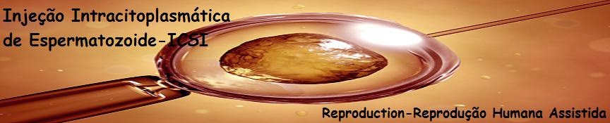Injeção Intracitoplasmática de Espermatozóide-Reproduction