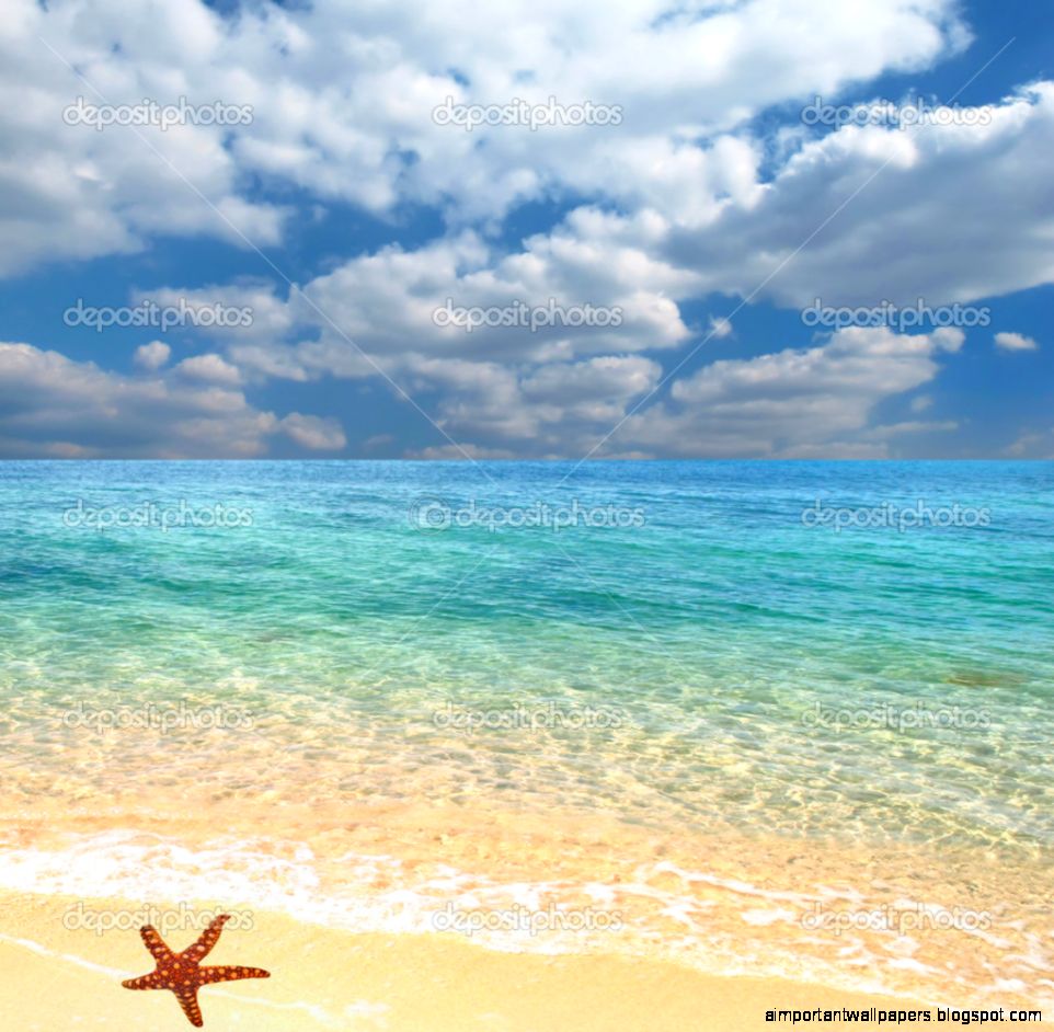 Beach and Starfish — Stock Photo © Vlad61 5464744 Beach and Starfish — Stock Photo © Vlad61 5464744