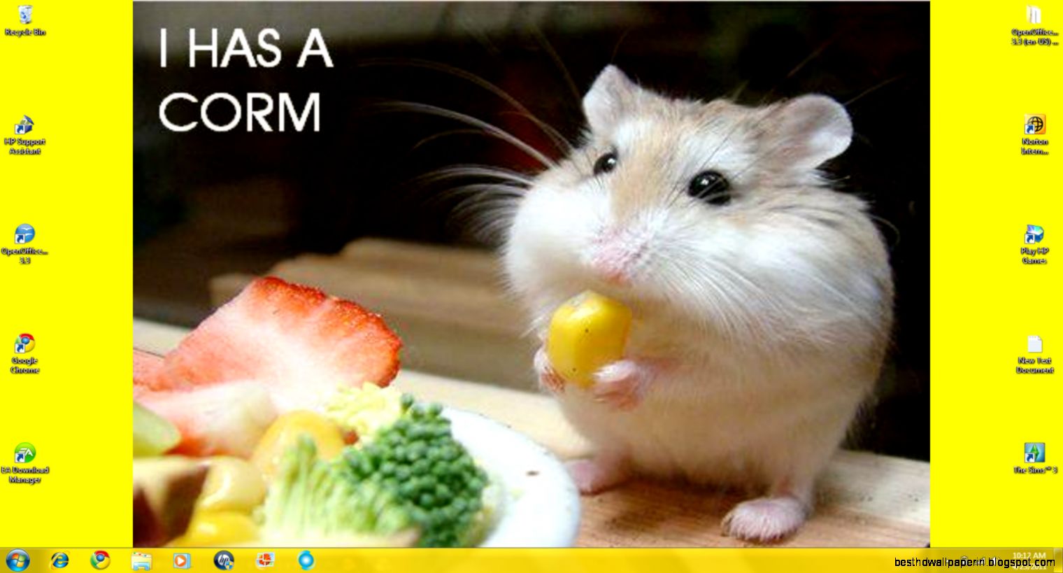 NoahFanNumber1 images Wallpaper Desktop Background HD wallpaper NoahFanNumber1 images Wallpaper Desktop Background HD wallpaper