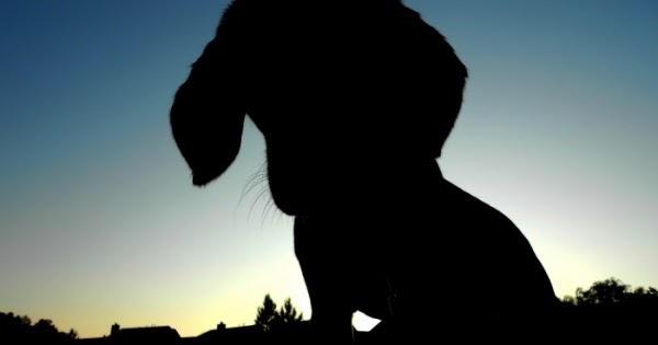 Sorry Adorable- An Unposted Letter