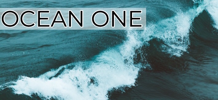 Ocean One