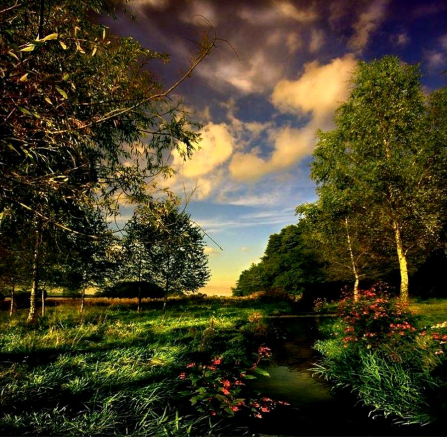 nature wallpaper for mobile nature wallpaper for mobile