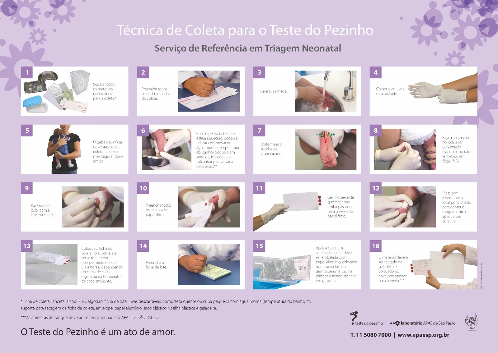 Il secolo degli Stati Uniti - Arnaldo Testi - Libro - Il