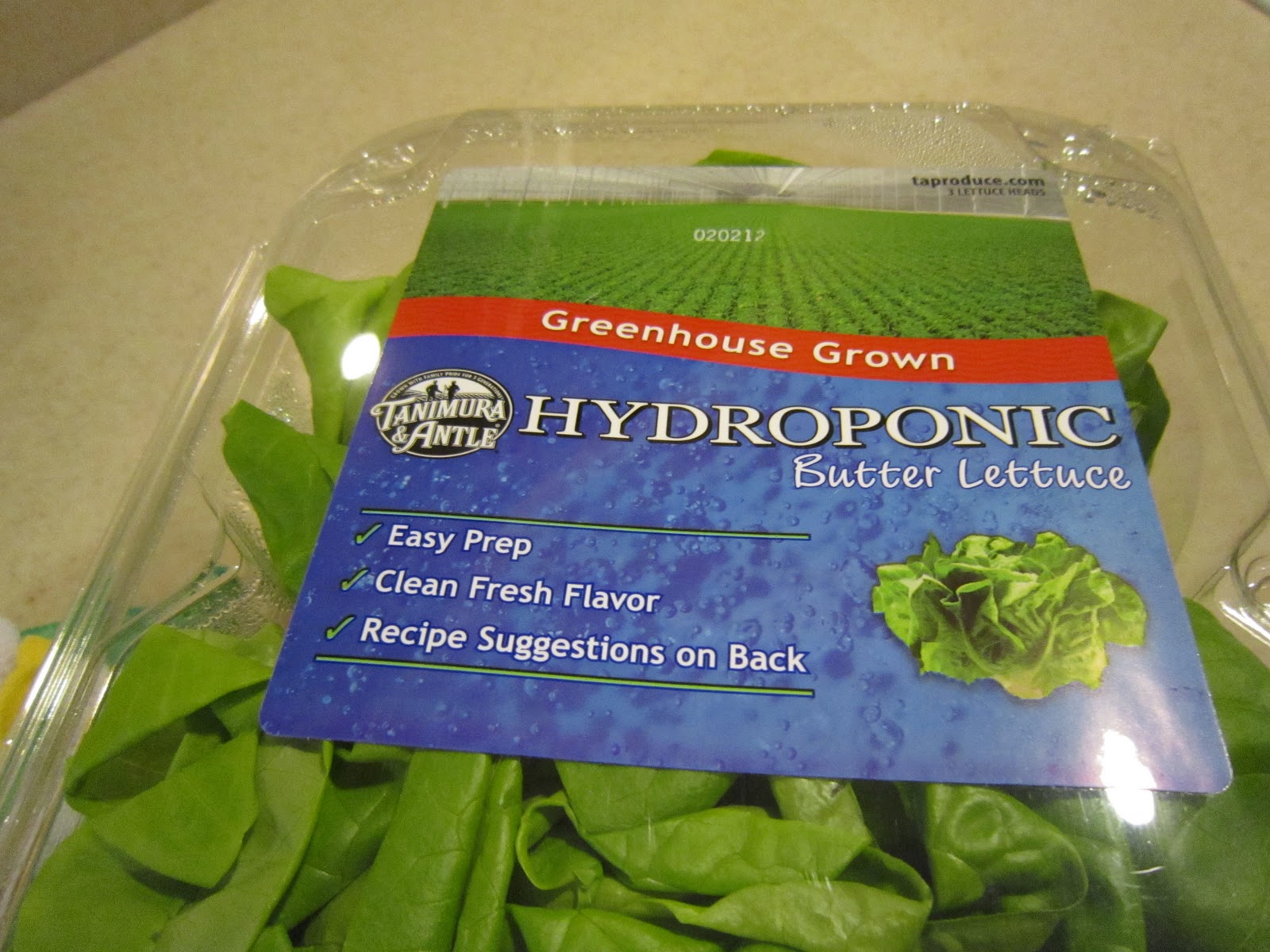 Turkey Lettuce Wraps