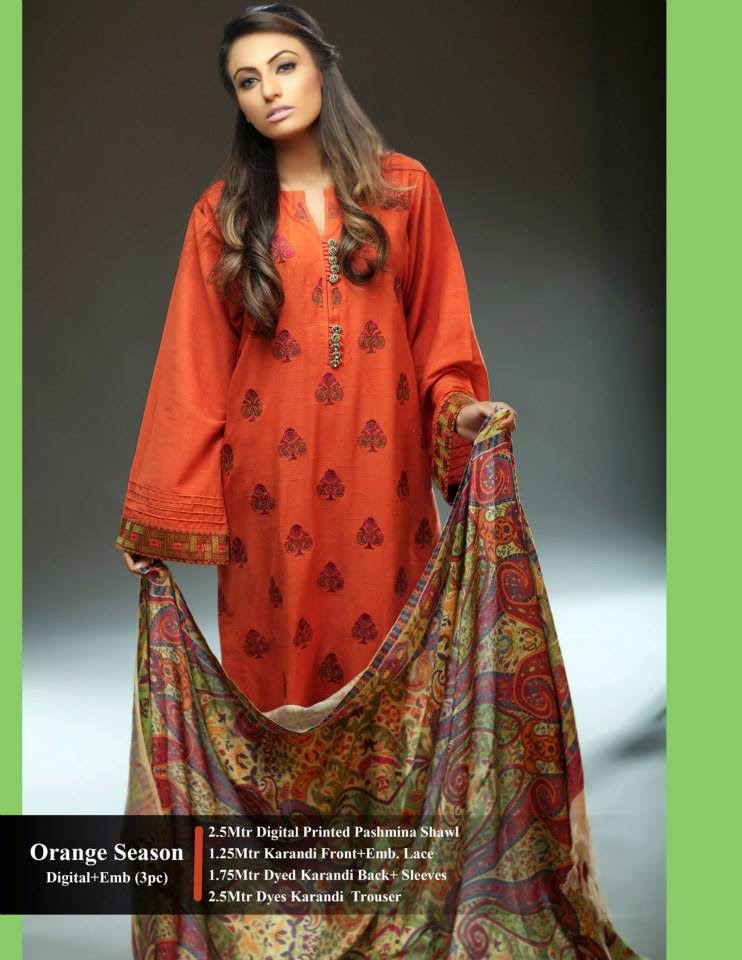 Stylish pashmina shawl collection for ladies Stylish pashmina shawl collection for ladies