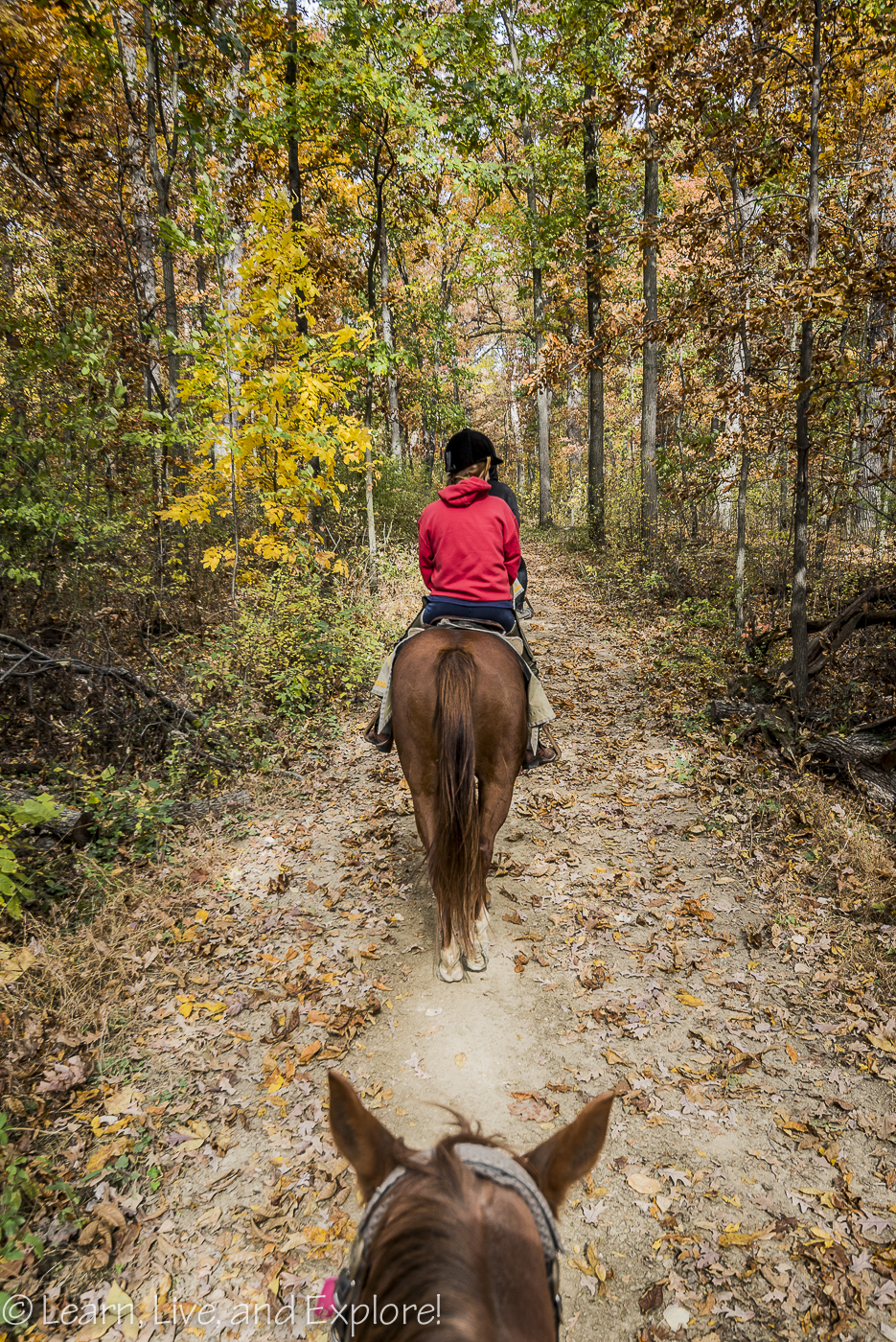 Gettysburg on Horseback An Alternative Tour Learn, Live, and Explore!