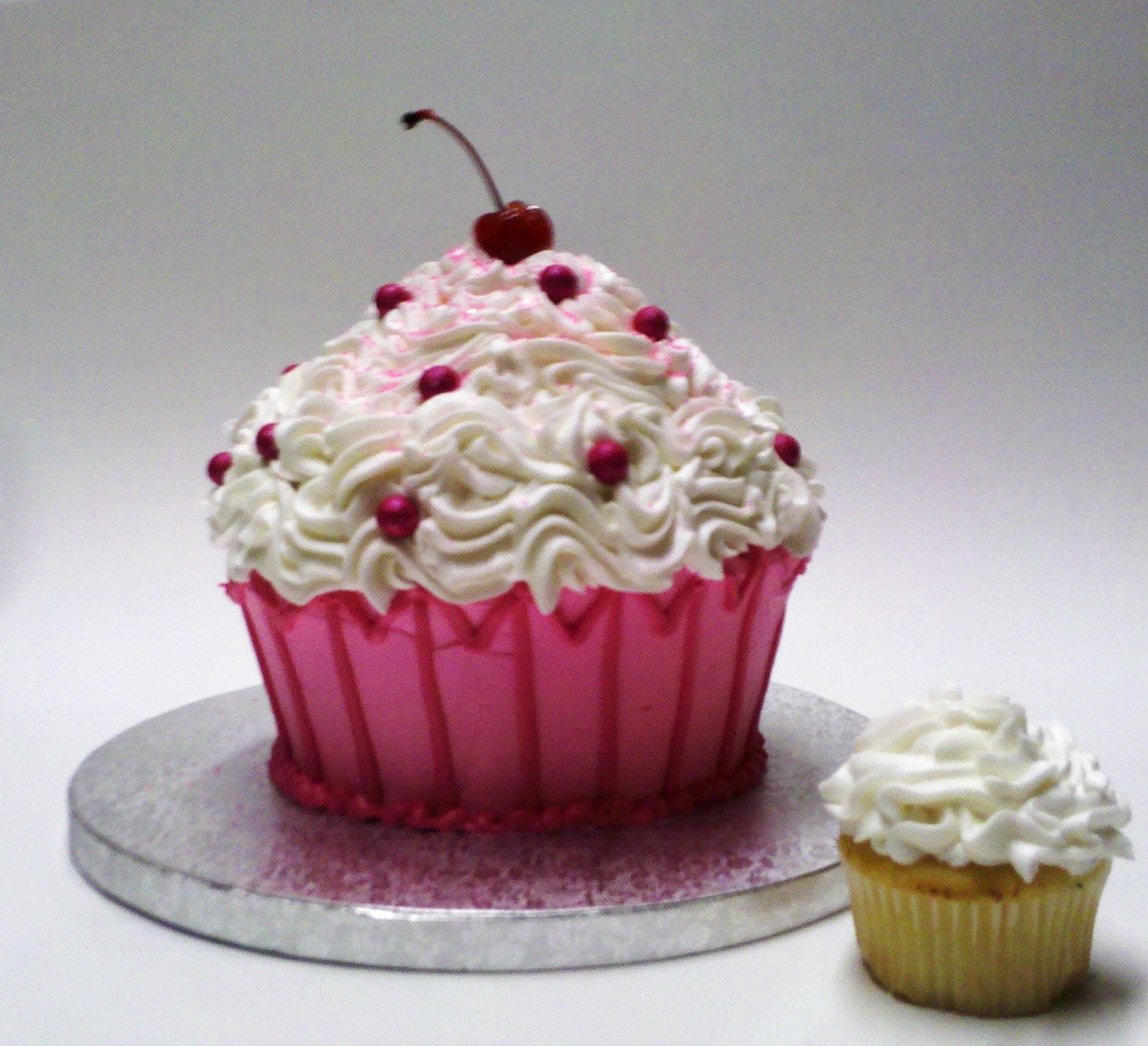 leslie s cool cakes from stan s northfield bakery jumbo cupcake cake leslie s cool cakes from stan s northfield bakery jumbo cupcake cake