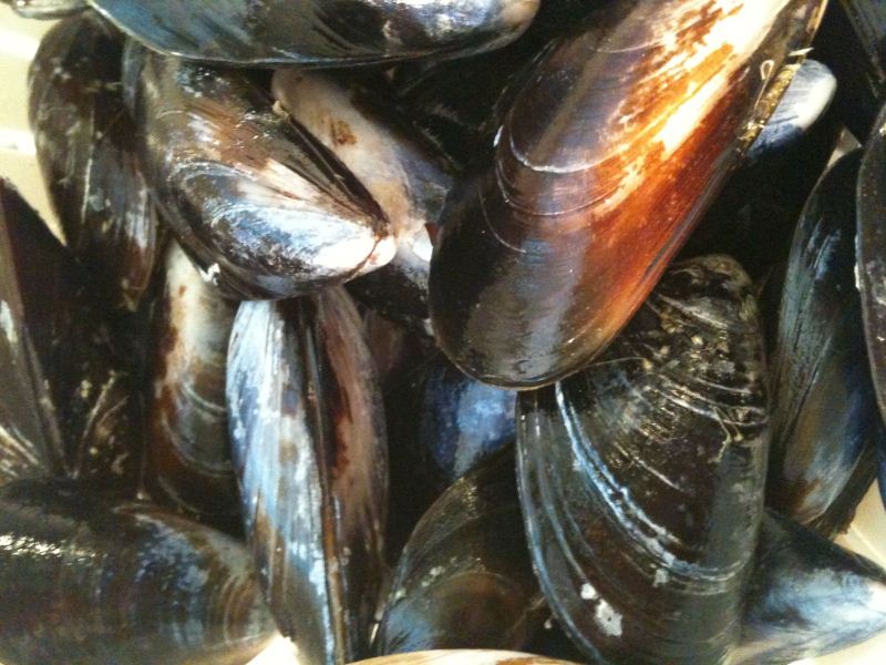 Free From G. Naturally Gluten Free Mussels How To Clean and Prepare