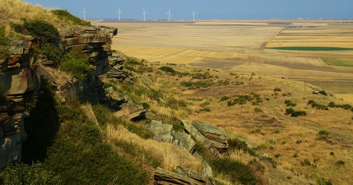 Nick S Beer Blog Schell S Ipa Review