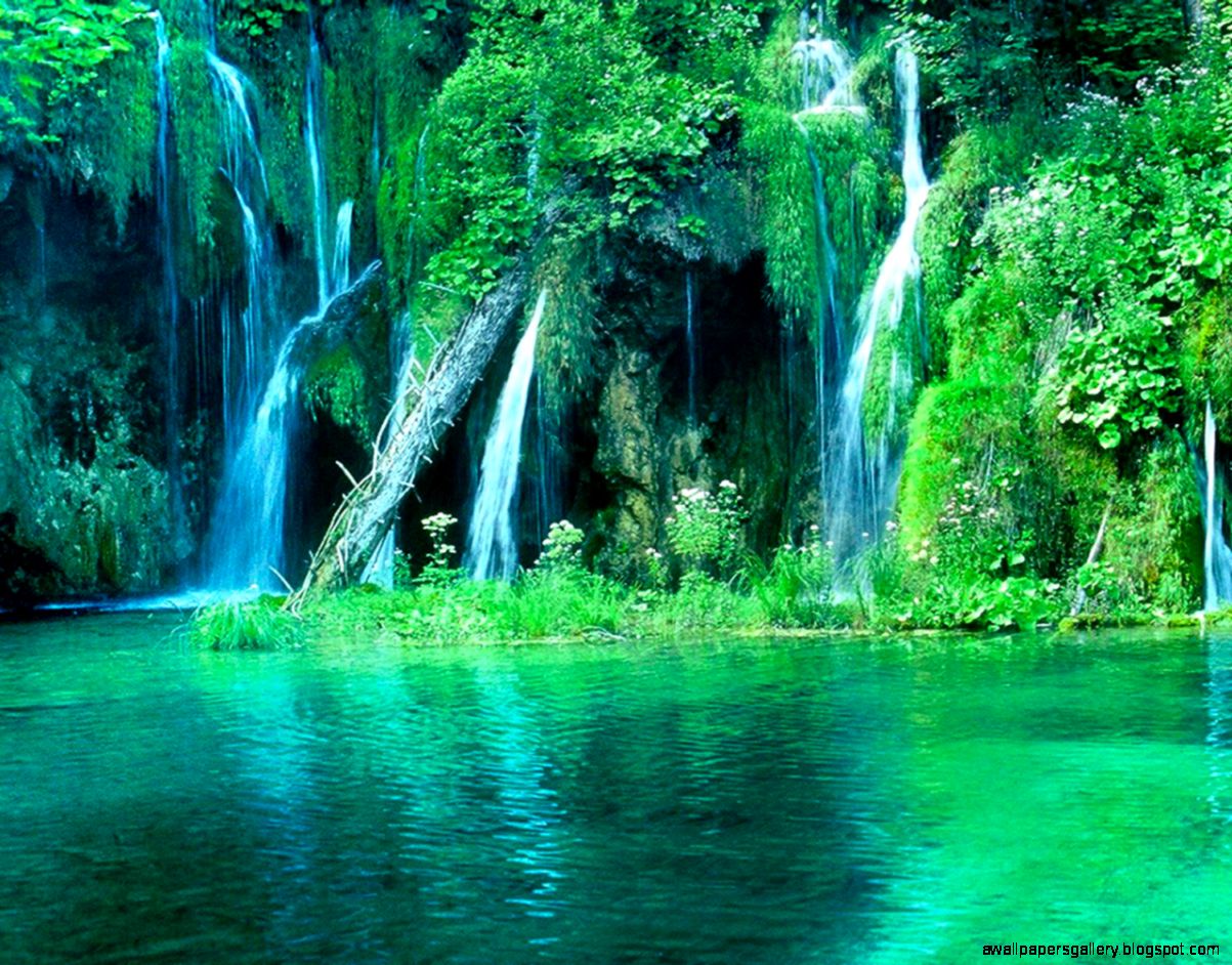 Sitemap Home Design and Decor Sitemap Home Design and Decor