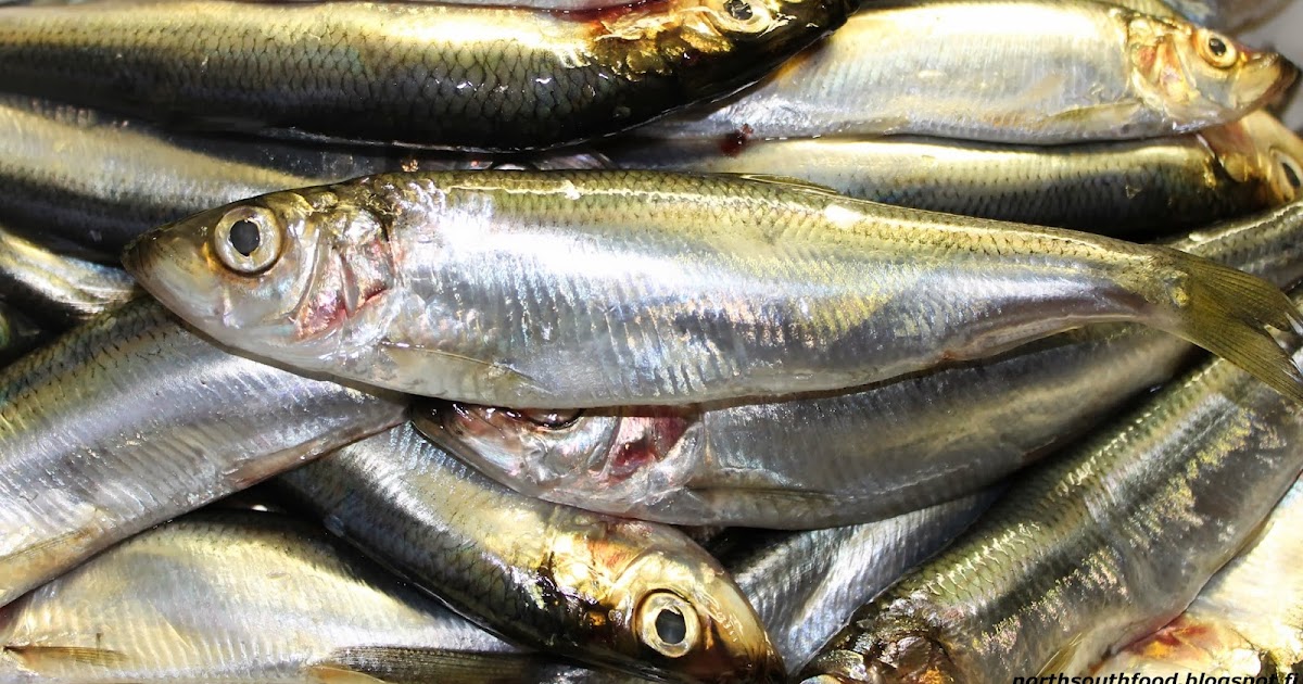 North south food Baltic herring, three ways to make a Finnish ingredient taste like Spanish!