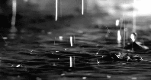 Animated Rain Wallpaper ~ BlogCrunch