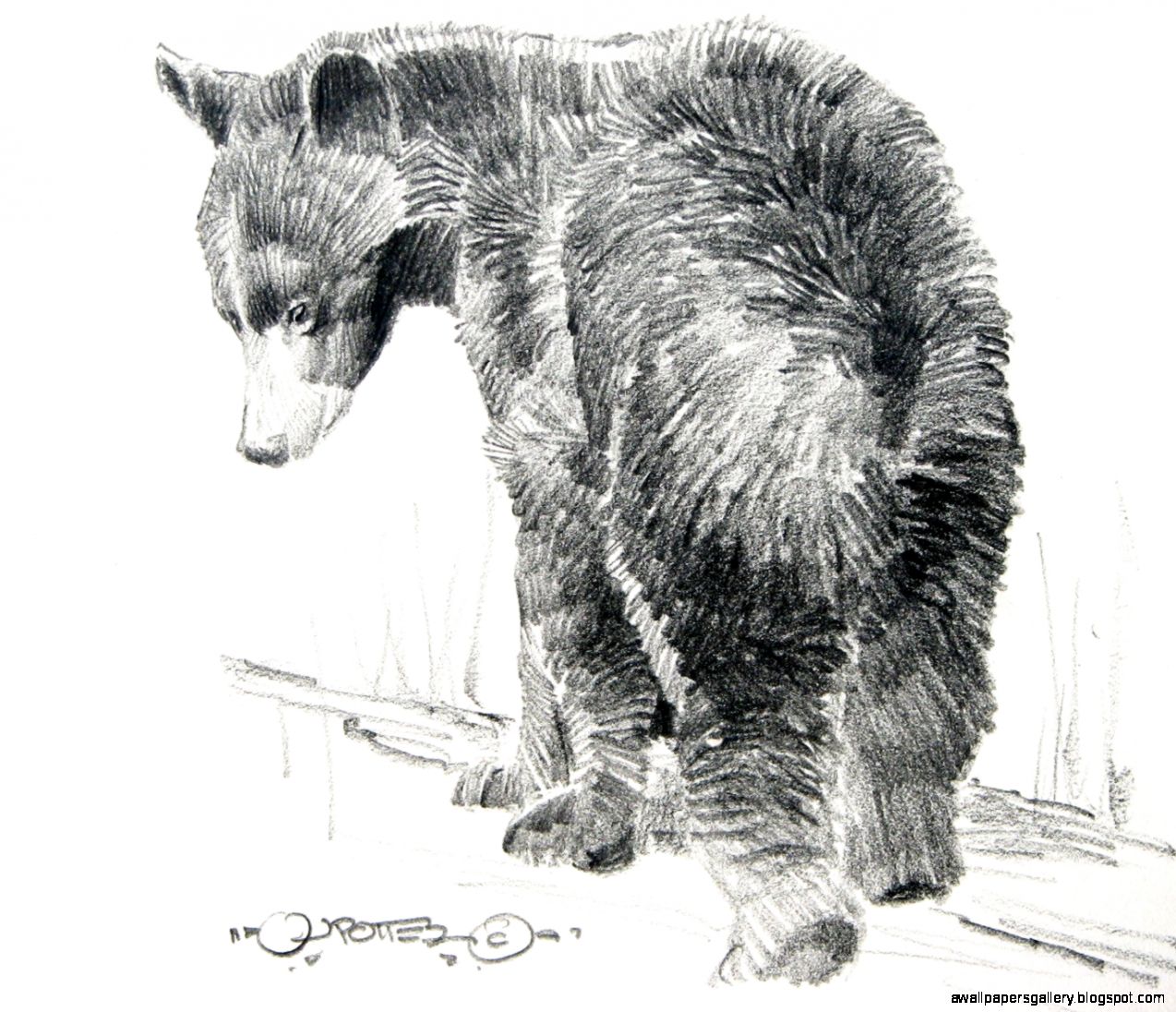 Drawings and Sketches Drawings and Sketches