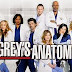Grey's Anatomy :  Season 10, Episode 13