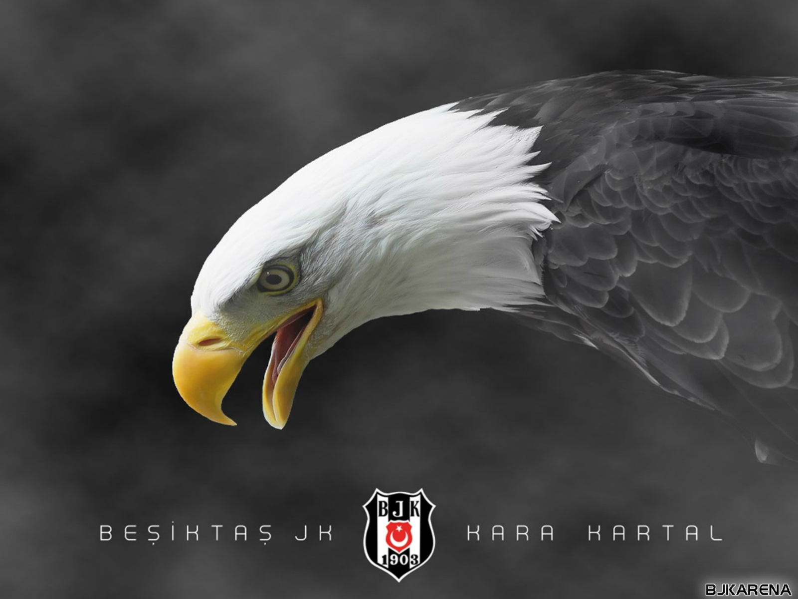kane blog picz wallpaper bjk
