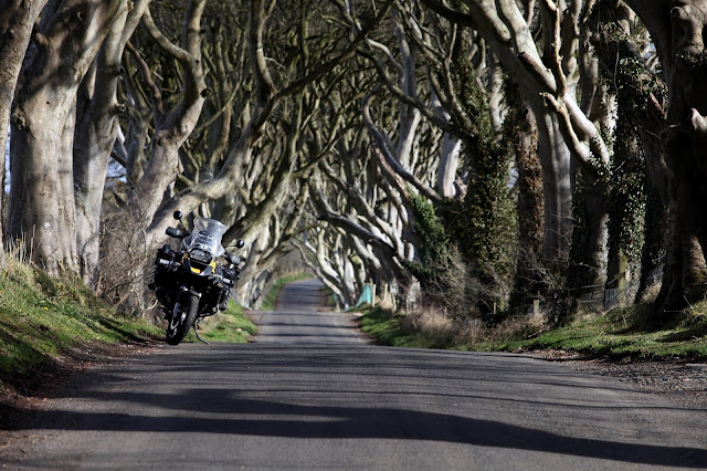 R1200gs Motorbike in Dark Hedges