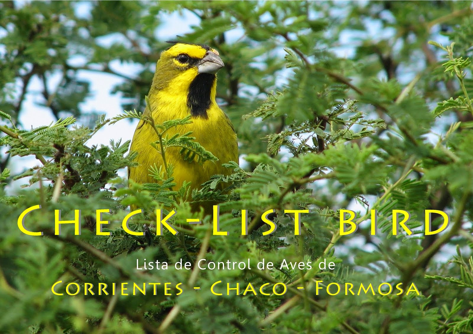 CHECK-LIST BIRD