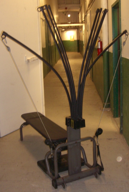 KDA Fitness, LLC = Knowledge Determination Ability