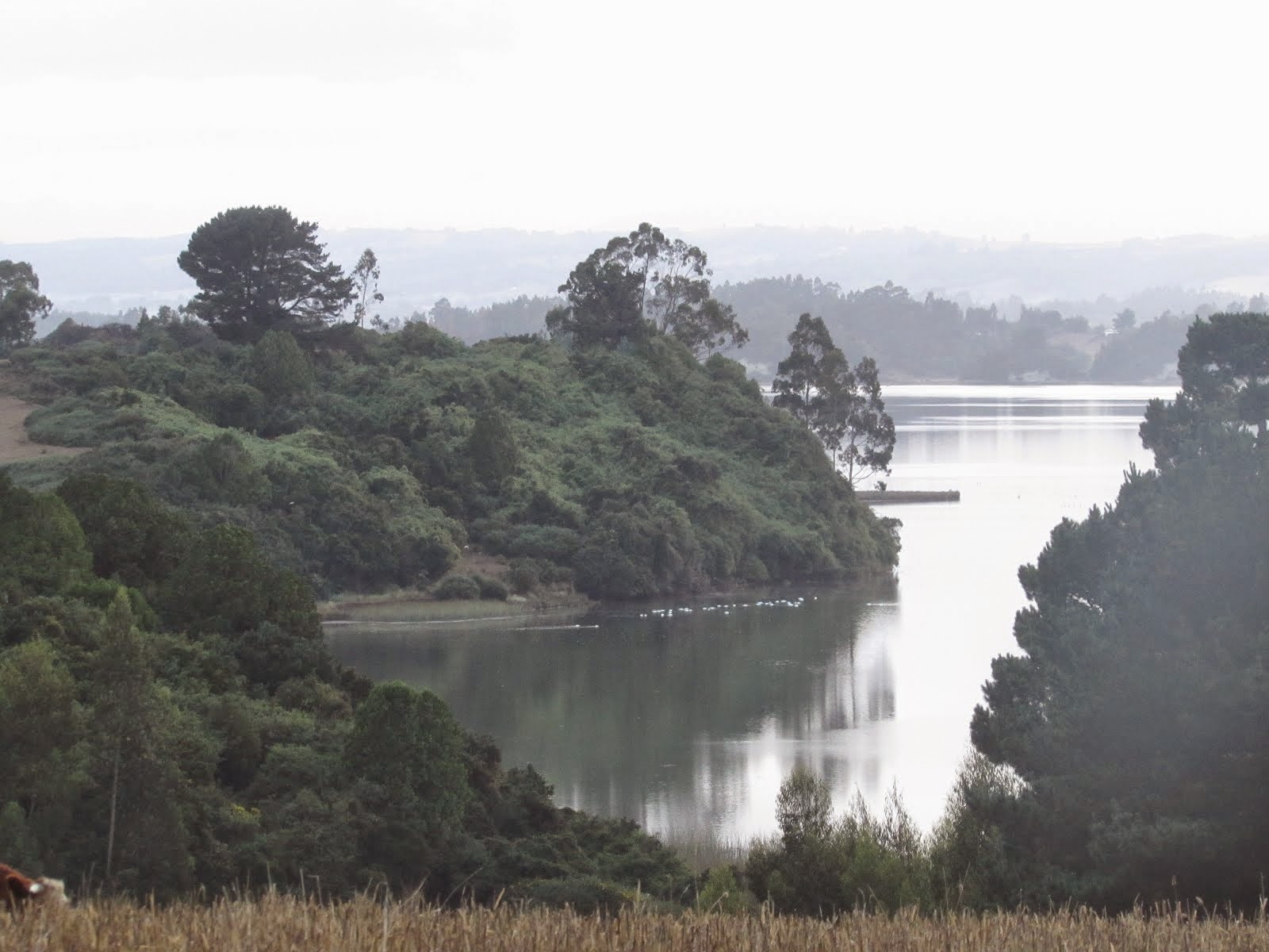 Lago Budi, Amanecida 29 de Marzo de 2015