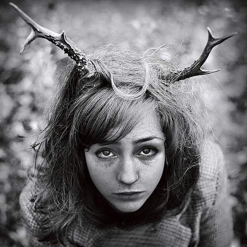 kevin et danielle jonas rencontre