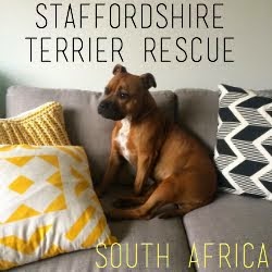 Save a Staffie