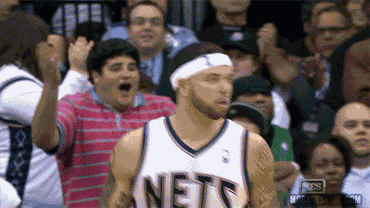NETSFAN.gif