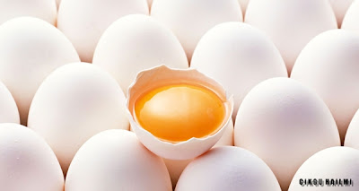Putih Telur dan Kuning Telur : Mana Yang Lebih Sihat?