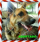 CASH ADOPTADO!!!!