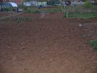 allotment dug and ready to be planted