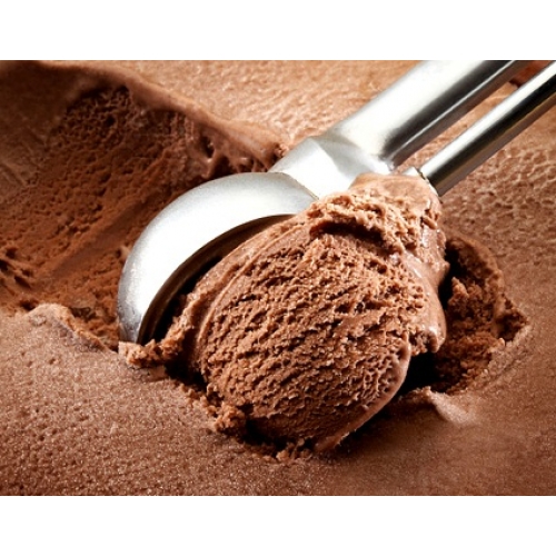 Ninja Food Processor