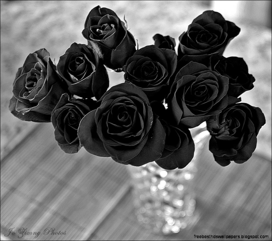 Black Roses The Exotic and Cool Flowers Flower Meanings Black Roses The Exotic and Cool Flowers Flower Meanings