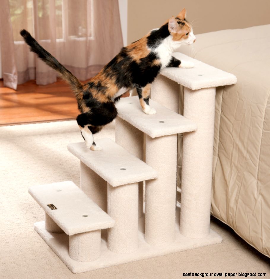 Pet Steps Pet Stairs Drs Foster  Smith Heavy Duty Carpeted Steps Pet Steps Pet Stairs Drs Foster  Smith Heavy Duty Carpeted Steps