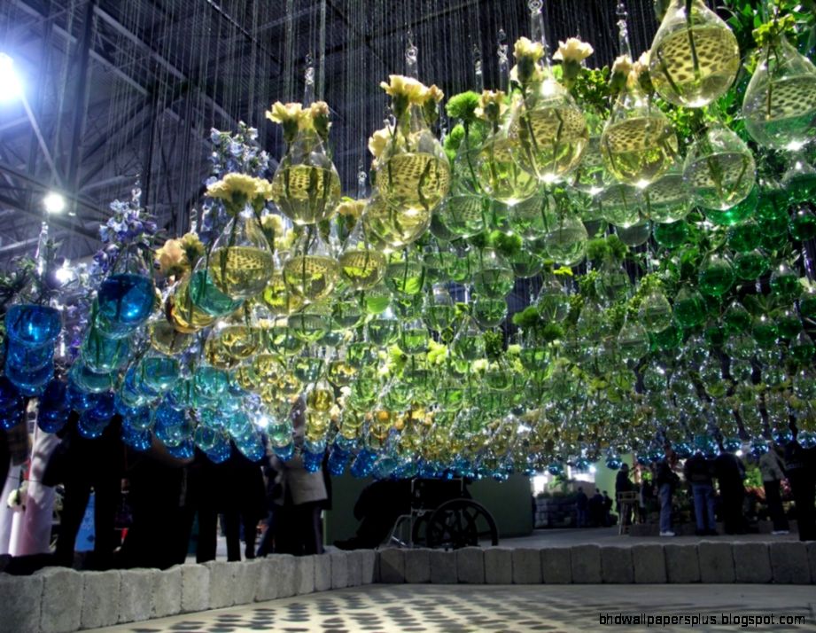 Philadelphia Flower Show39s world tour Daina Savage Philadelphia Flower Show39s world tour Daina Savage