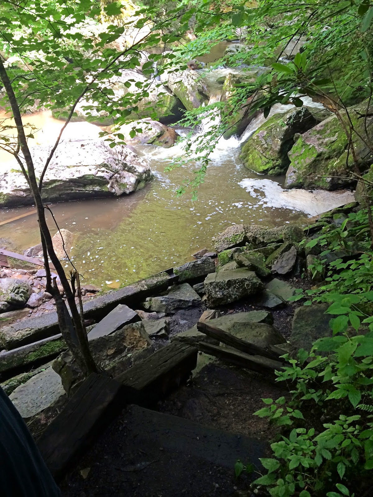 Saga's Cottage Virginia Creeper Trail Biking Solstice Adventure