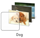 cani still download windows 10 iso file cani still download windows 10 iso file